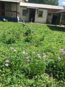 Продається дача