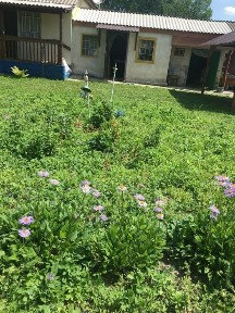 Продається дача