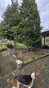 Продається будинок в с/т Світанок с. Оноківці