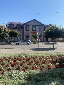 Здам нерухомість під офіс Шевченка 36 центр 2 поверх над Авророю