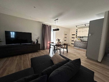 Продаж сучасного 1-поверхового будинку, Сутиски