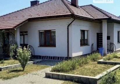 Здається в оренду Будинок ( американка) газ, камін неподалік тц Дастор