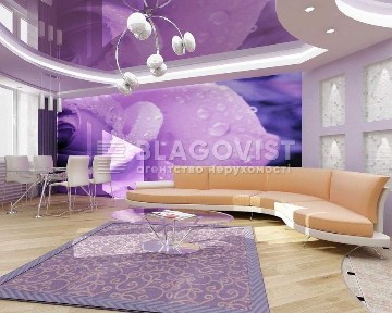 Київська область, Київ, Печерський