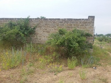 Одеська область, Нерубайське