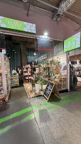 Київська область, Київ, Голосіївський