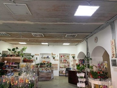 Приміщення р-н 700 річчя, є різні площі склад, офіси, своя підстанція.