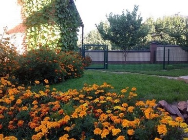 Киев, Добрый Путь ул.