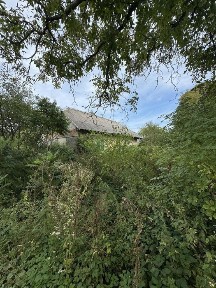 Продаж будинку по вул. Польова в с. Заболоття 60 сот. землі
