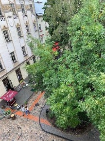 Львівська область, Львів, Галицький