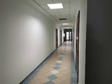 Львівська область, Львів, Шевченківський