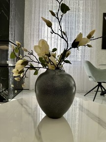 Київська область, Буча