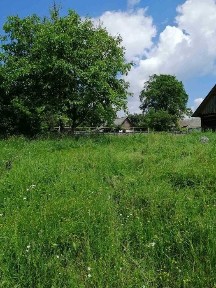 Продаж будинку с. Левків