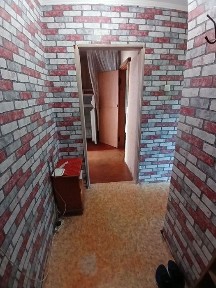 Житомирська область, Житомир, Польова