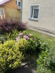 Продаж пів будинка м. Сокаль 42000$