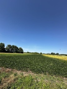 Будинок в селі Користь