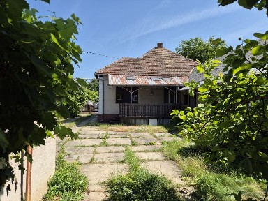 Продається будинок у с. Добронь з садом та огородом