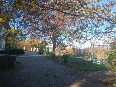 Миколаївська область, Миколаїв, Центральний