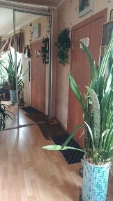 Продам дом с. Светлое, СТ