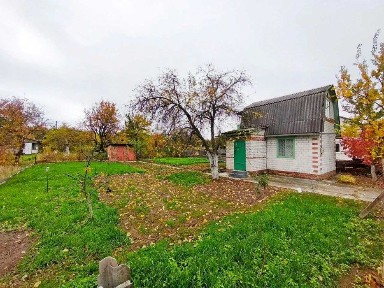 Гарна дача з доглянутою ділянкою 5 соток. Біля Чернігова с. Рижики (SP)