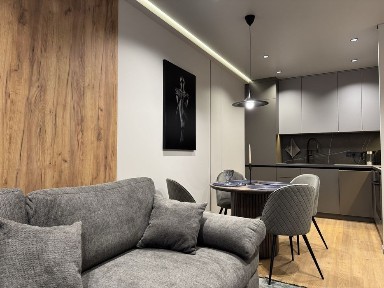 Квартира в оренду Нова Англія, Максимовича, Васильківська. Новая Англия