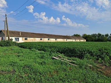 Продаж сільгосп. будівлі Свинарник