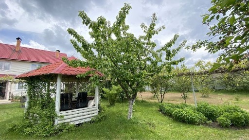 Київська область, Забуччя