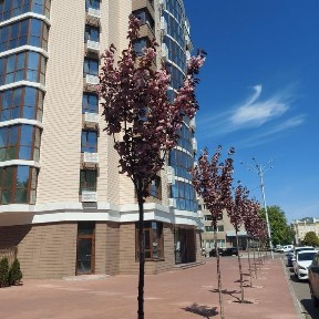 Кременчук, площа Перемоги 1