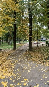 Закарпатська область, Ужгород