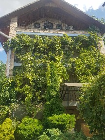 Добротний будинок вул. Рилєєва 408 кв. м 8 сот. землі з критим басейном