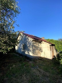 Будинок в селі Новий Білоус