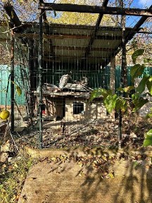 Будинок готовий до заселення! Видрові Доли