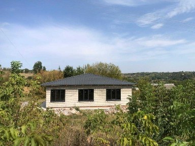 Київська область, Велика Вільшанка