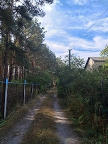 с. Микуличі, Немешаєво, Ворзель, Буча. 20 км від Києва. Дача у лісі!