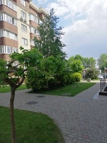 Одеська область, Крижанівка