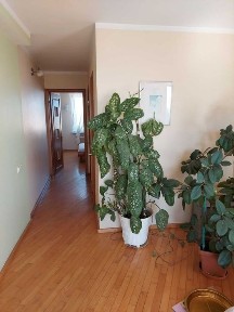 Сдам 2-х комнатную квартиру Светлый переулок/Солнечная