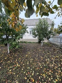 Київська область, Рокитне