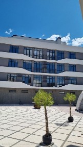 Одеська область, Ліски