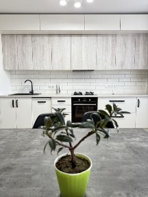 Автономка! Оренда 1 кімн. студії вул. Жабинського