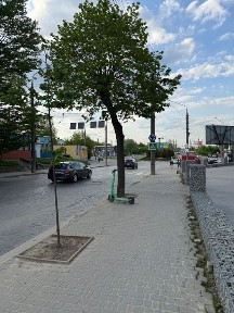 Оренда великої площі під різний вид діяльності