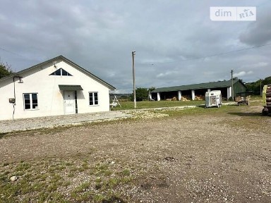 Івано-Франківська область, Тисмениця