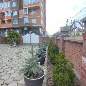 Оренда будинку 3окремі кімнати в центрі Чернівців, парк Шевченка