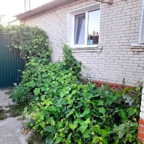 Продам будинок в передмісті м. Суми