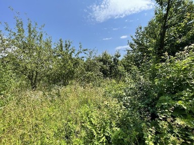 Продається хата с. Райки 100 сот (власник )