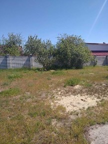 Здається дім в оренду. Село Лебедівка (Вишгородський р-н, м. Київ)