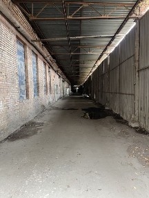 Київська область, Київ, Голосіївський