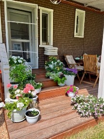 Здам в оренду будинок в передмісті