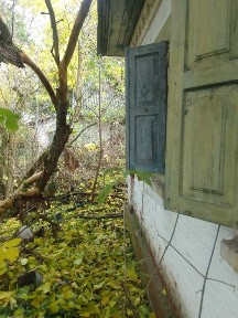 жилий будинок в с. лящівка, Чорнобаївського району 150 тис грн