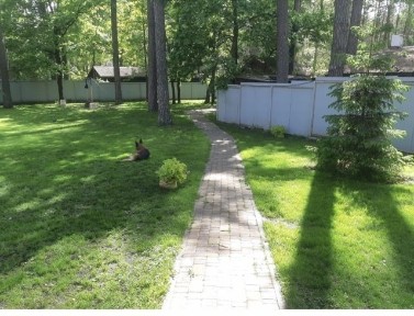 Будинок під Києвом в лісі