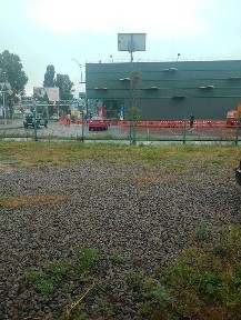 Київська область, Софіївська Борщагівка