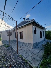 Гарний дачний будинок. Мачухи.